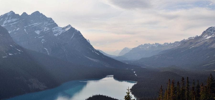 Centro Modern Barber