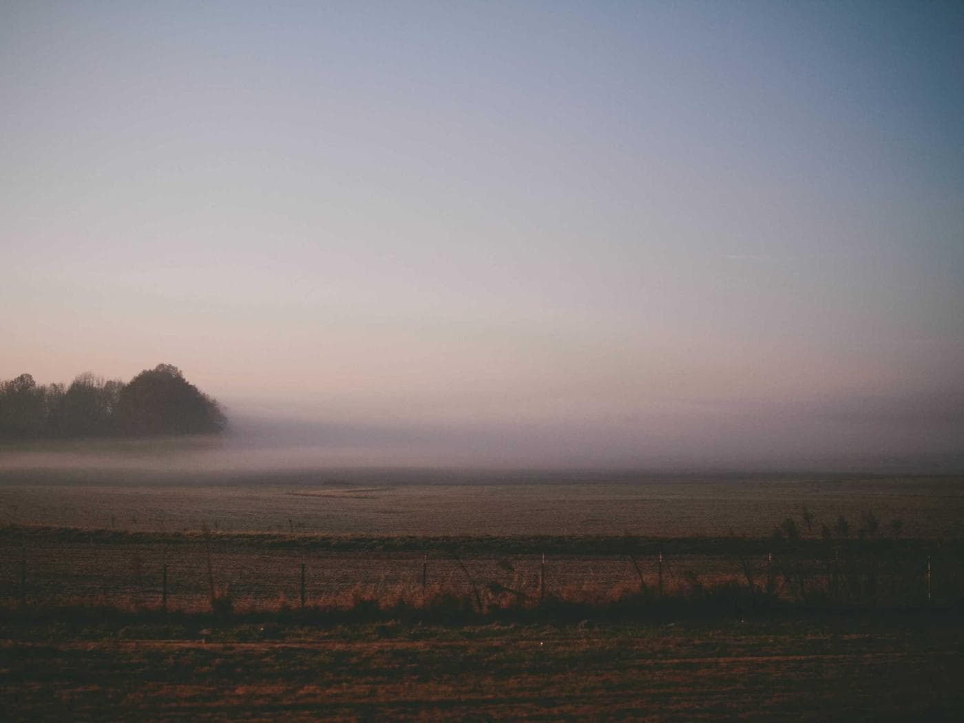 Foto 3 de Venust Premium Barbershop