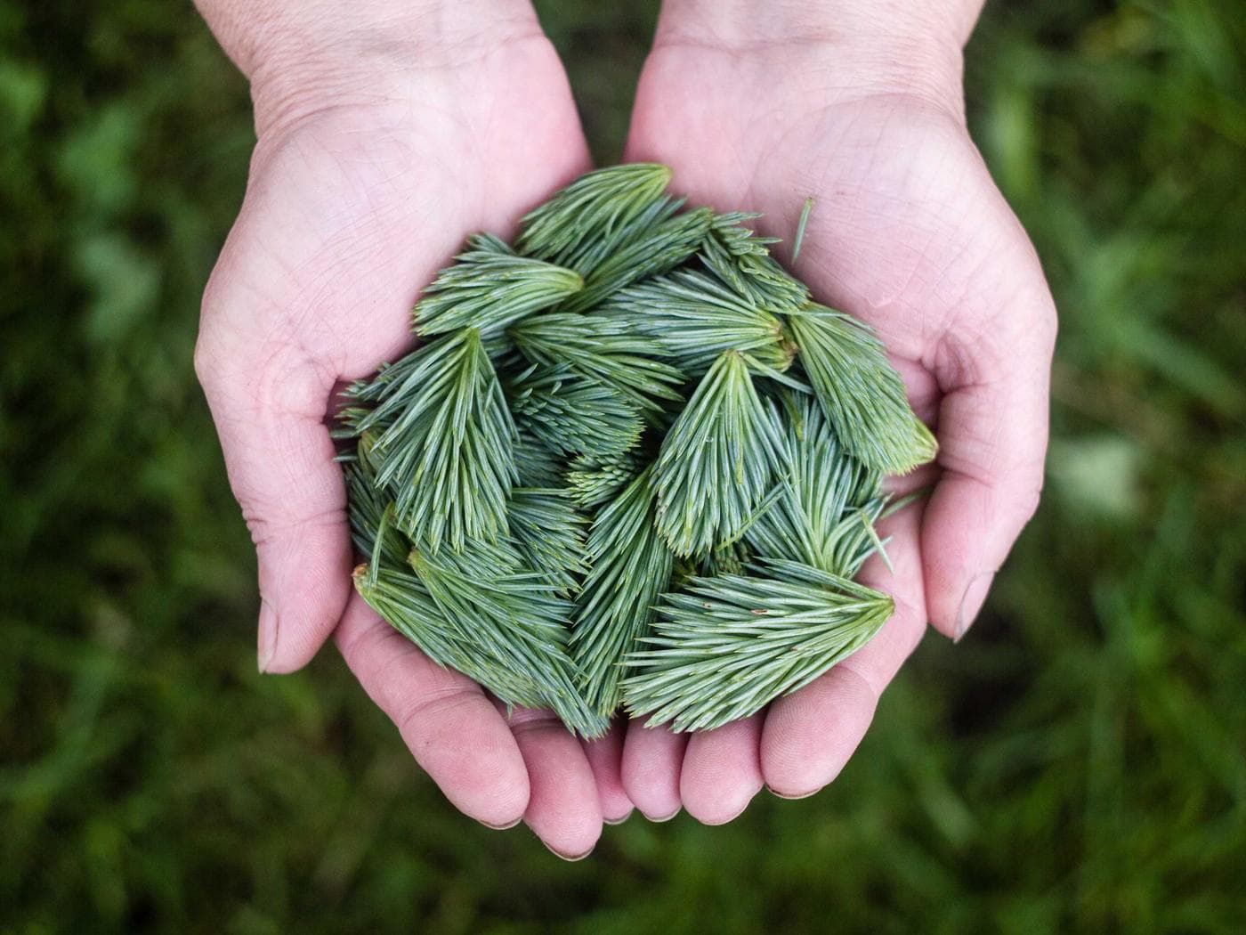 Foto enviada por Bruno